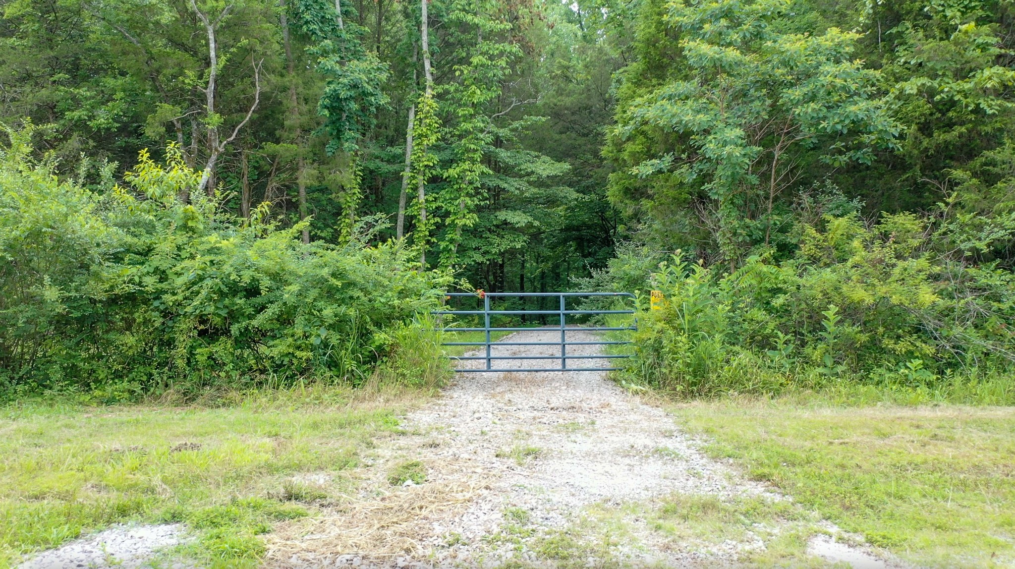 0 Parsons Bend Road Columbia, TN 38401 - Photo 2 of 34 a backyard of a house with lots of green space