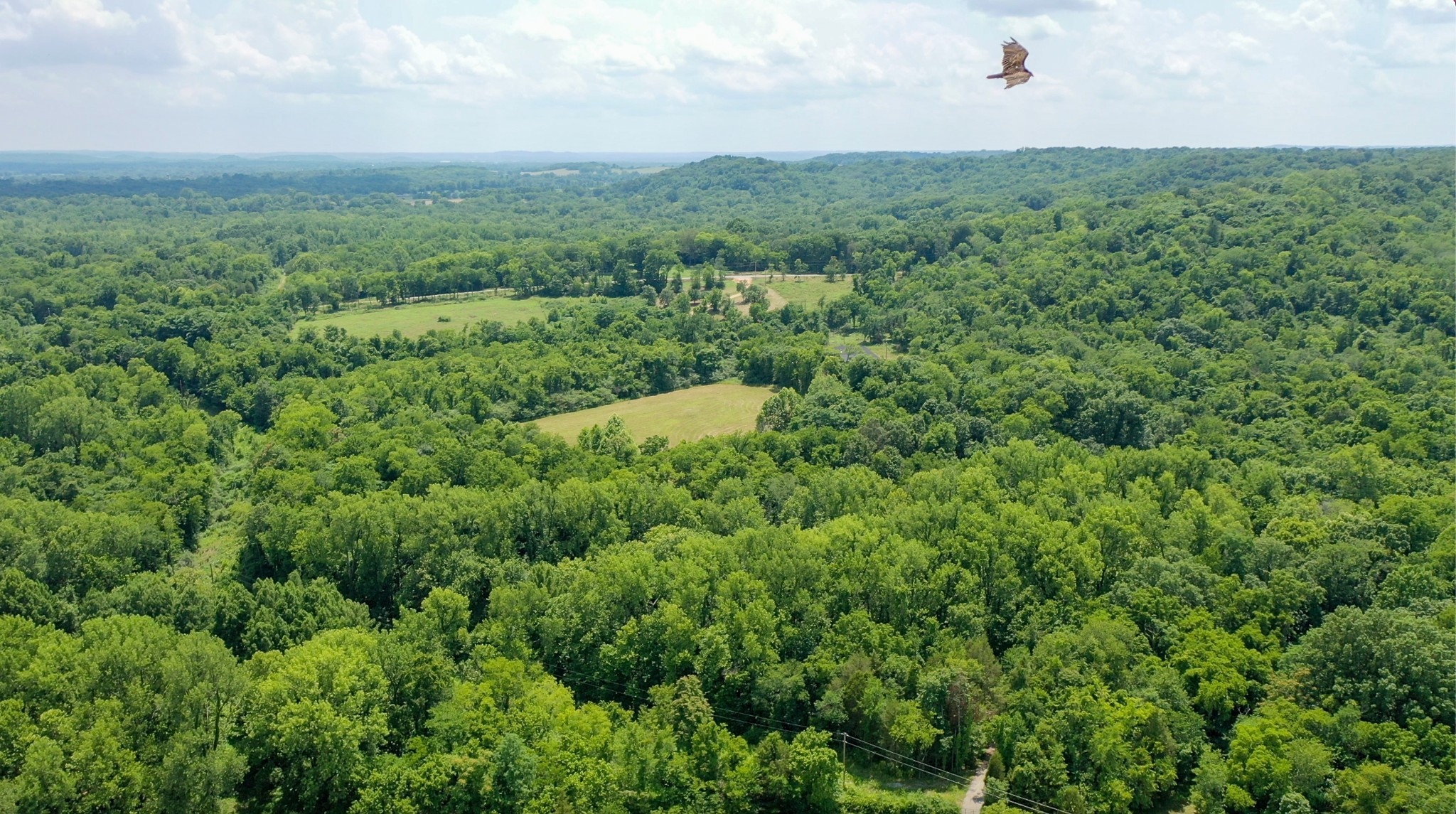 0 Parsons Bend Road Columbia, TN 38401 - Photo 21 of 34 an aerial view of a houses with a yard