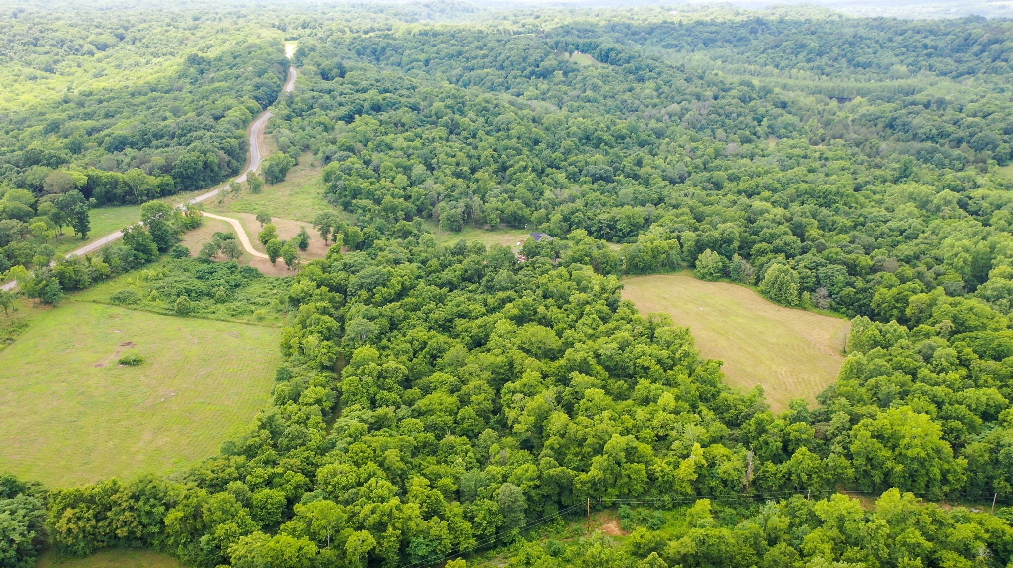 0 Parsons Bend Road Columbia, TN 38401 - Photo 28 of 34 a view of a house with a lush green forest