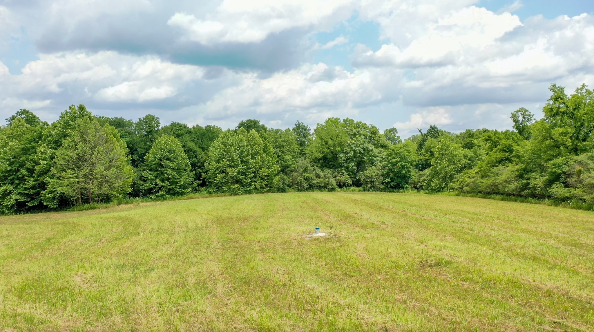 0 Parsons Bend Road Columbia, TN 38401 - Photo 5 of 34 a view of a big yard with lawn chairs