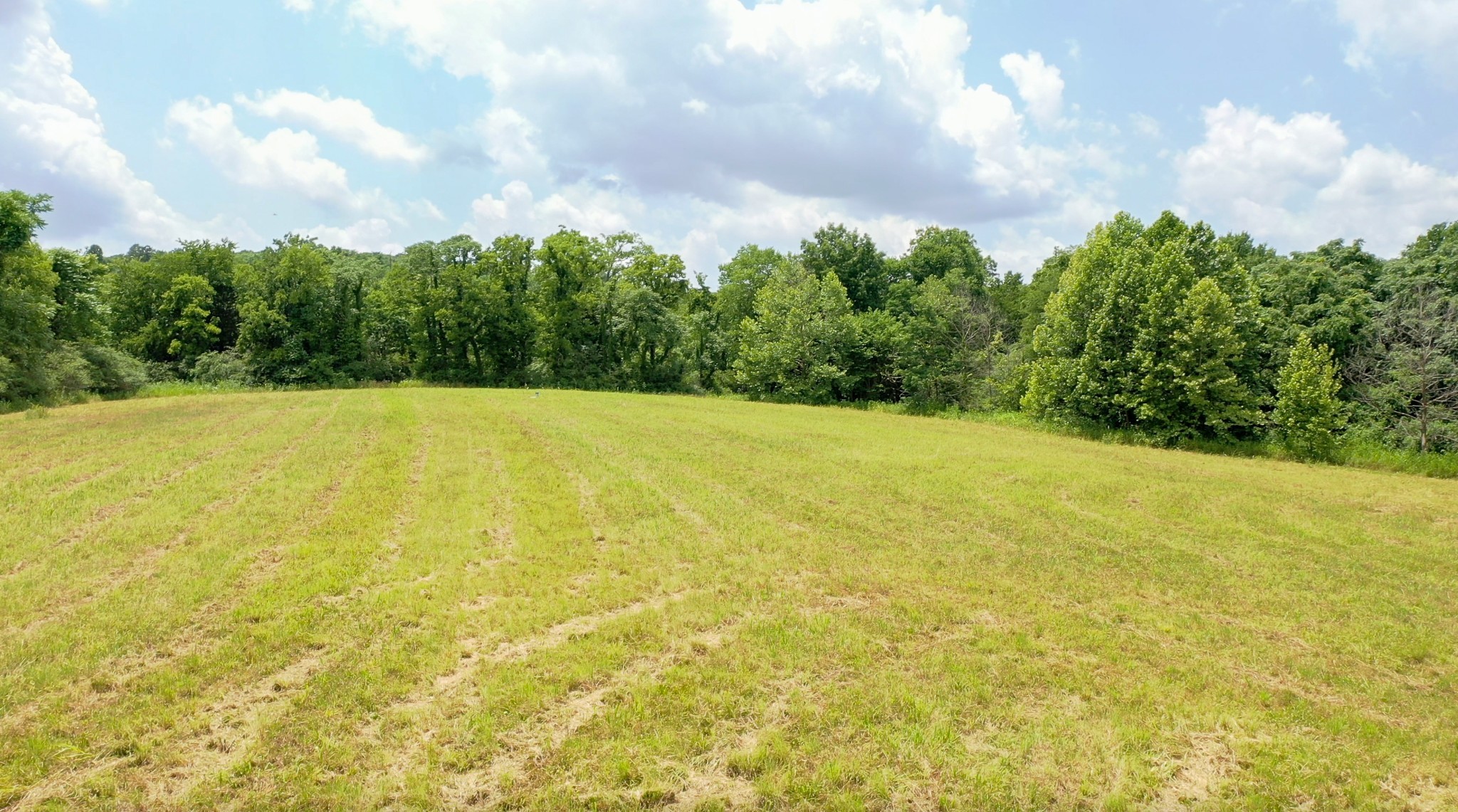 0 Parsons Bend Road Columbia, TN 38401 - Photo 6 of 34 a view of an ocean and a yard