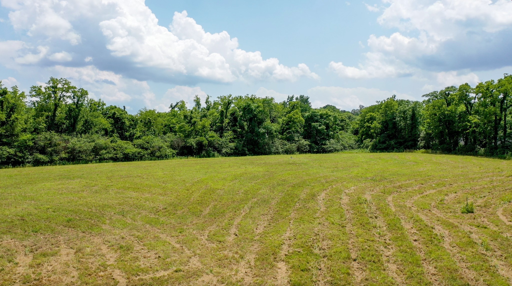 0 Parsons Bend Road Columbia, TN 38401 - Photo 7 of 34 a view of outdoor space and yard