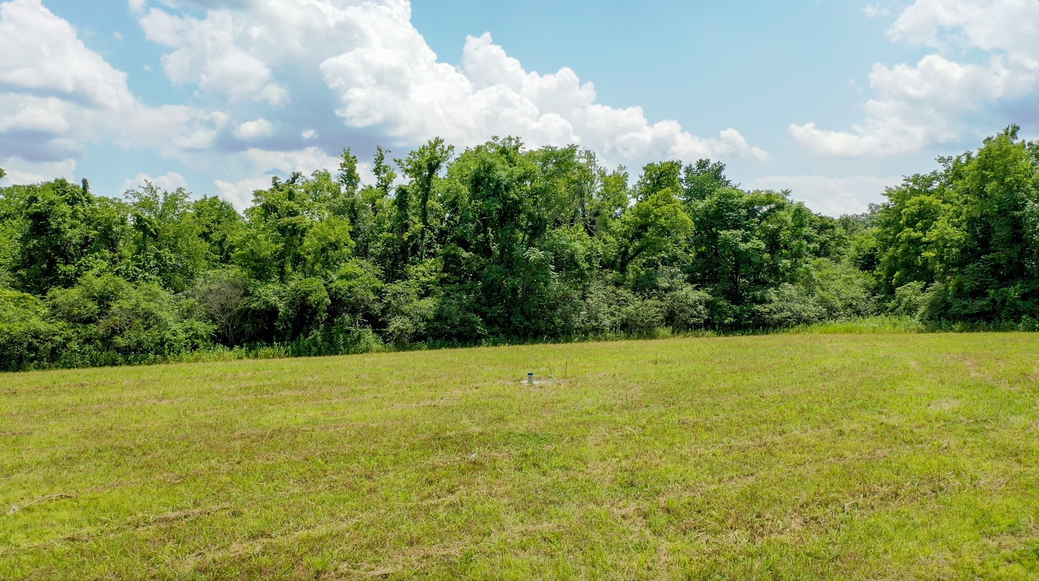 0 Parsons Bend Road Columbia, TN 38401 - Photo 8 of 34 a view of a field with an trees in the background