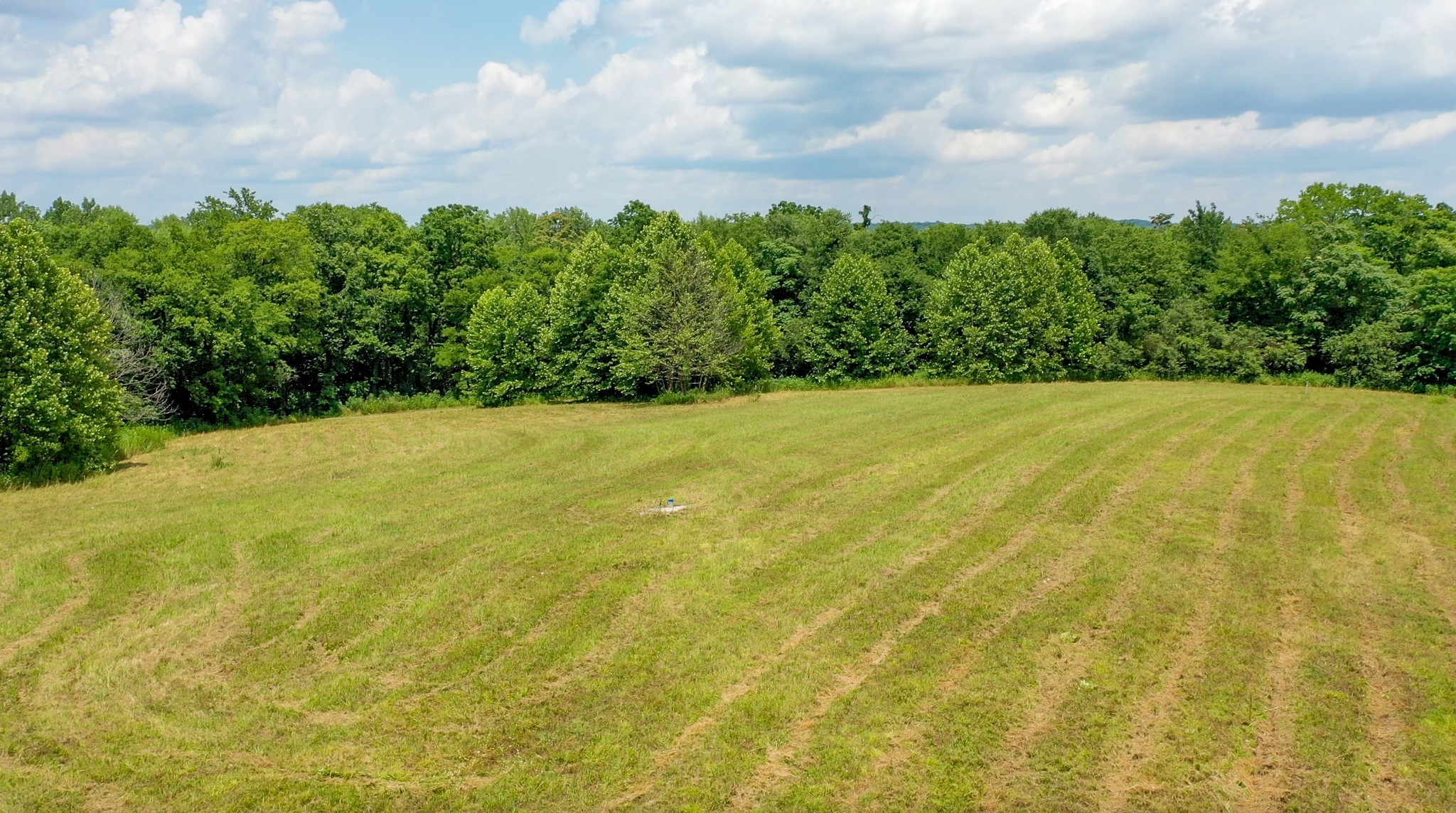 0 Parsons Bend Road Columbia, TN 38401 - Photo 9 of 34 a view of a field with an outdoor space