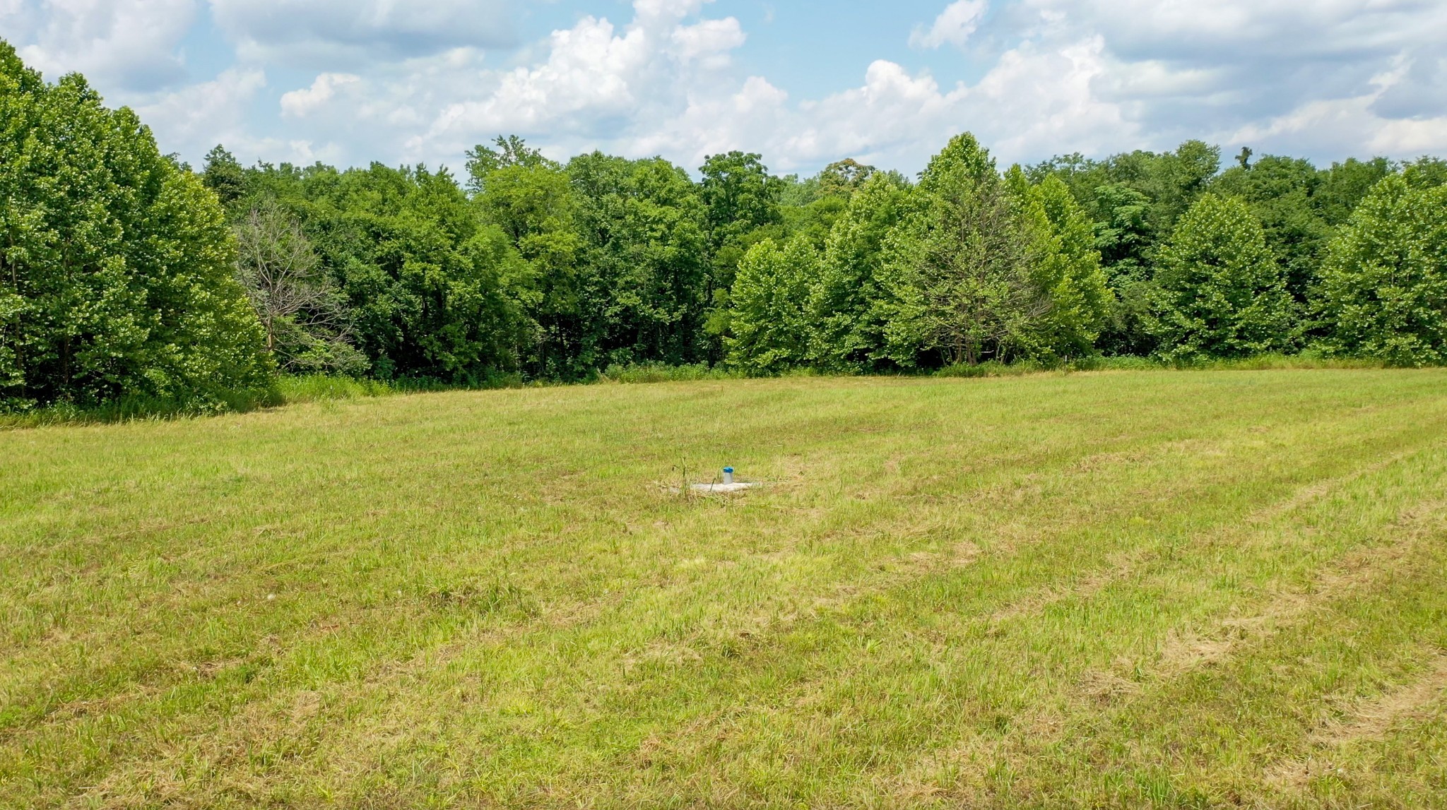 0 Parsons Bend Road Columbia, TN 38401 - Photo 10 of 34 a view of yard with swimming pool and green space