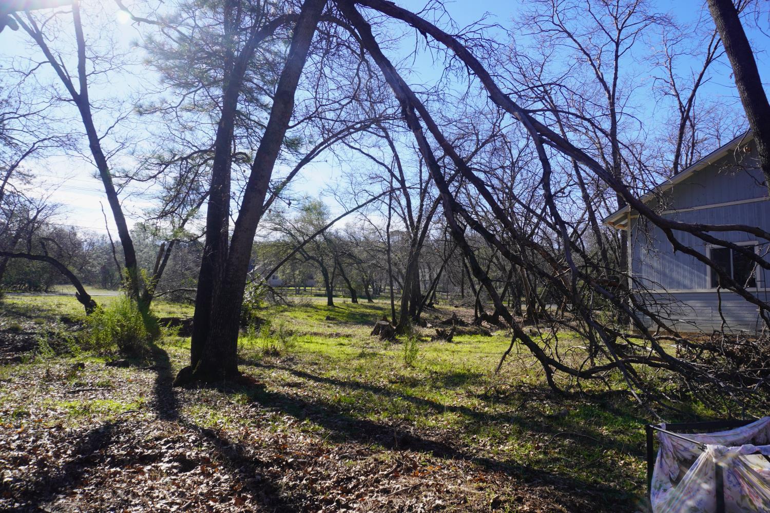 3695 Lily Lane Shingle Springs, CA 95682 - Photo 38 of 56