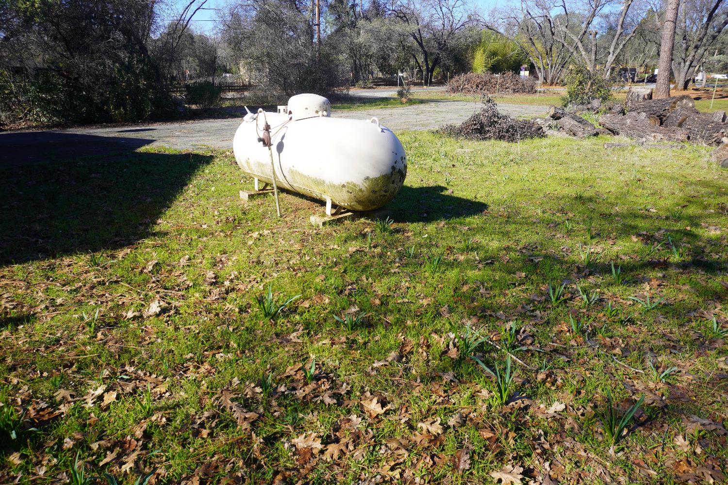 3695 Lily Lane Shingle Springs, CA 95682 - Photo 41 of 56