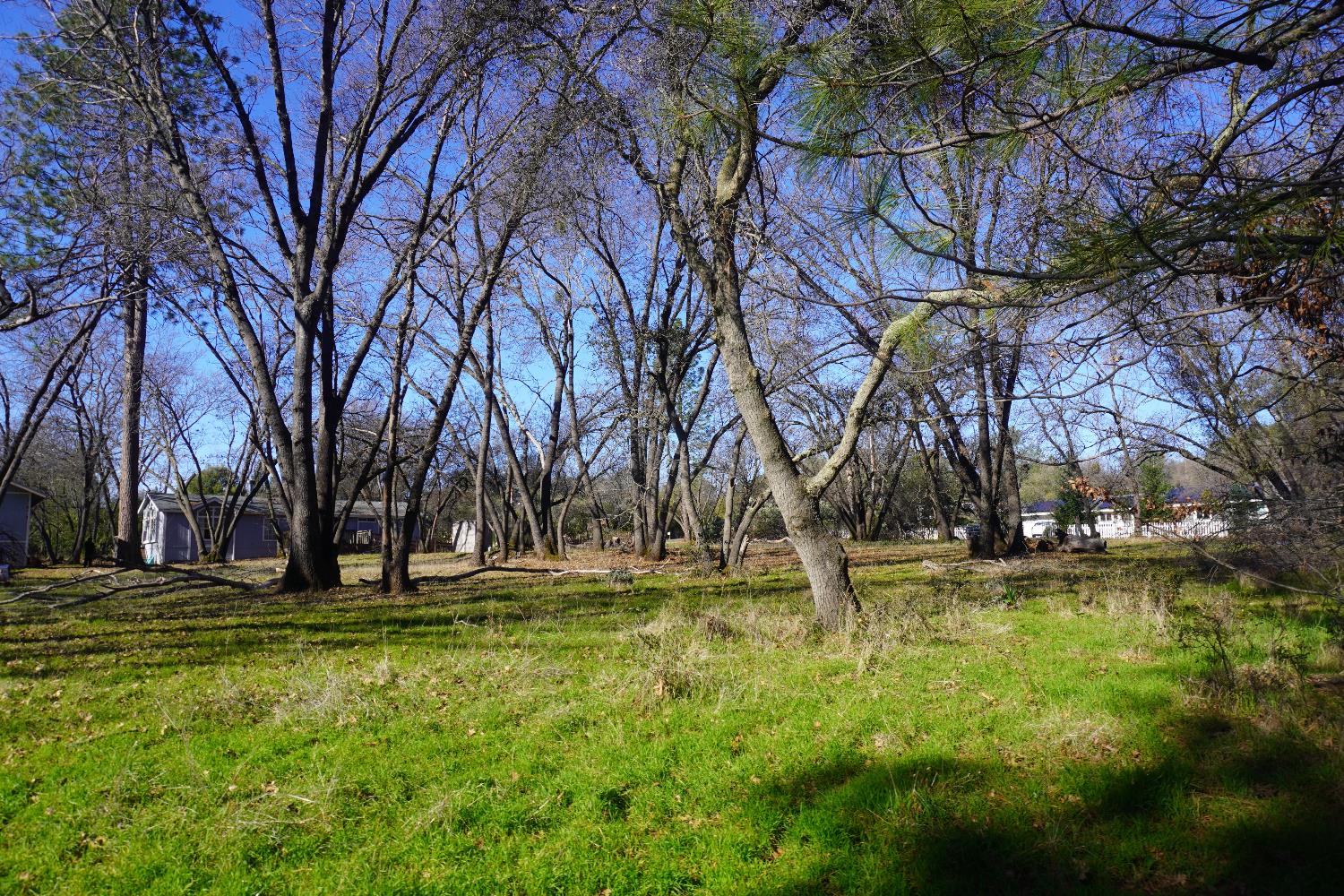 3695 Lily Lane Shingle Springs, CA 95682 - Photo 42 of 56