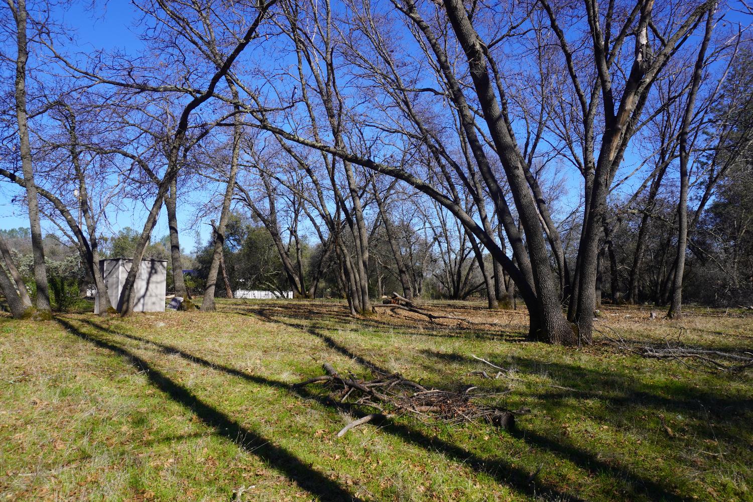3695 Lily Lane Shingle Springs, CA 95682 - Photo 43 of 56
