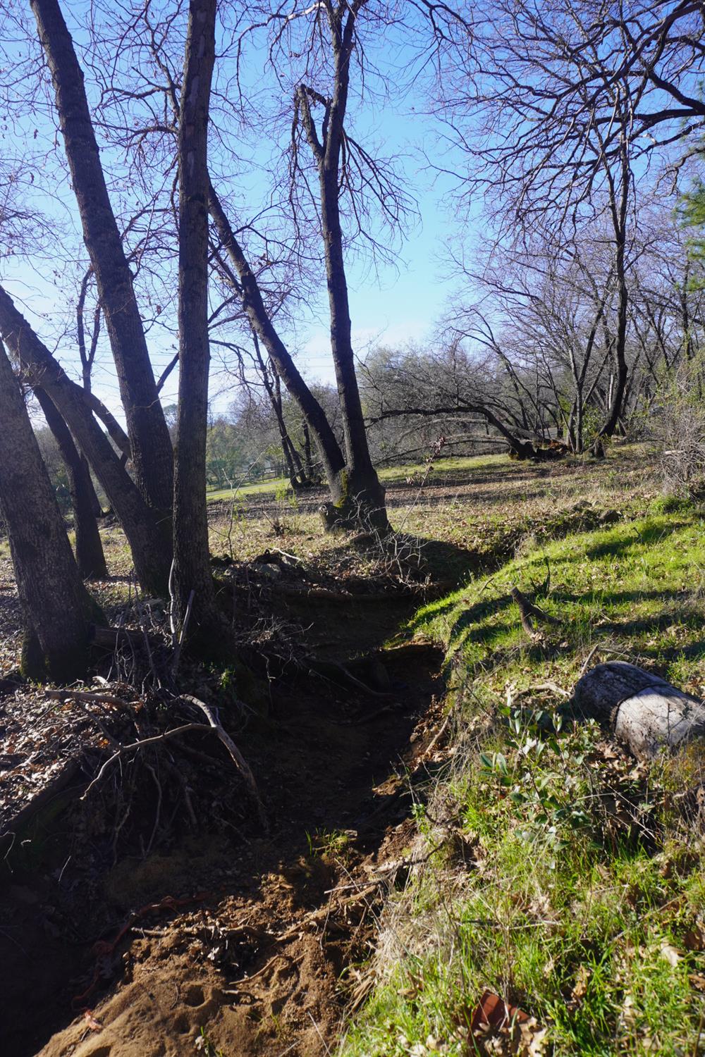 3695 Lily Lane Shingle Springs, CA 95682 - Photo 47 of 56