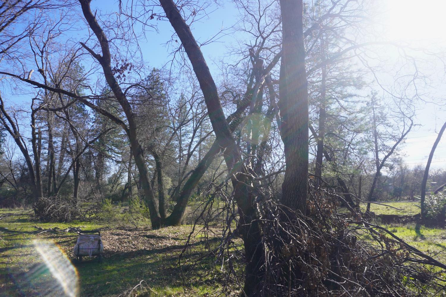 3695 Lily Lane Shingle Springs, CA 95682 - Photo 48 of 56