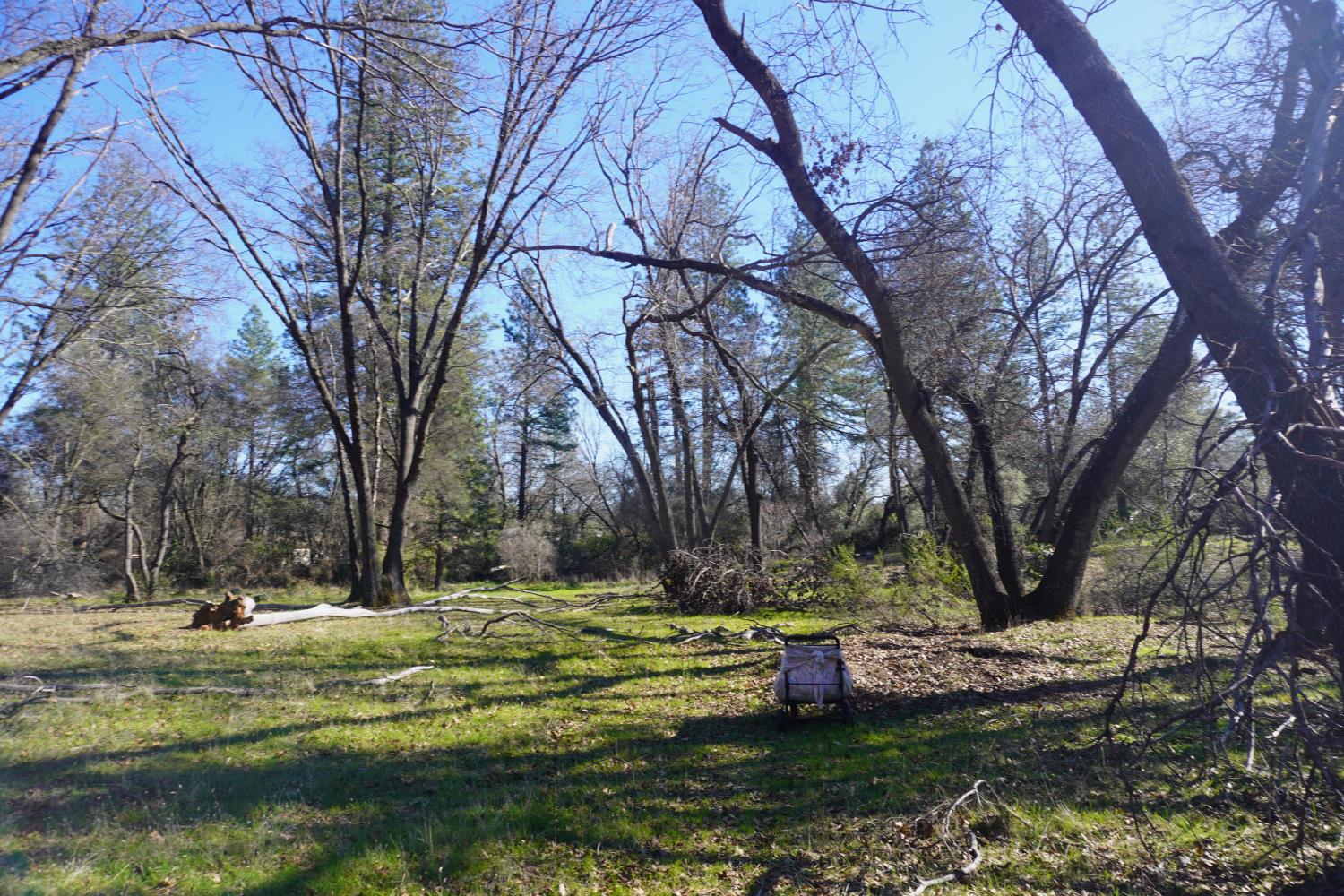 3695 Lily Lane Shingle Springs, CA 95682 - Photo 49 of 56