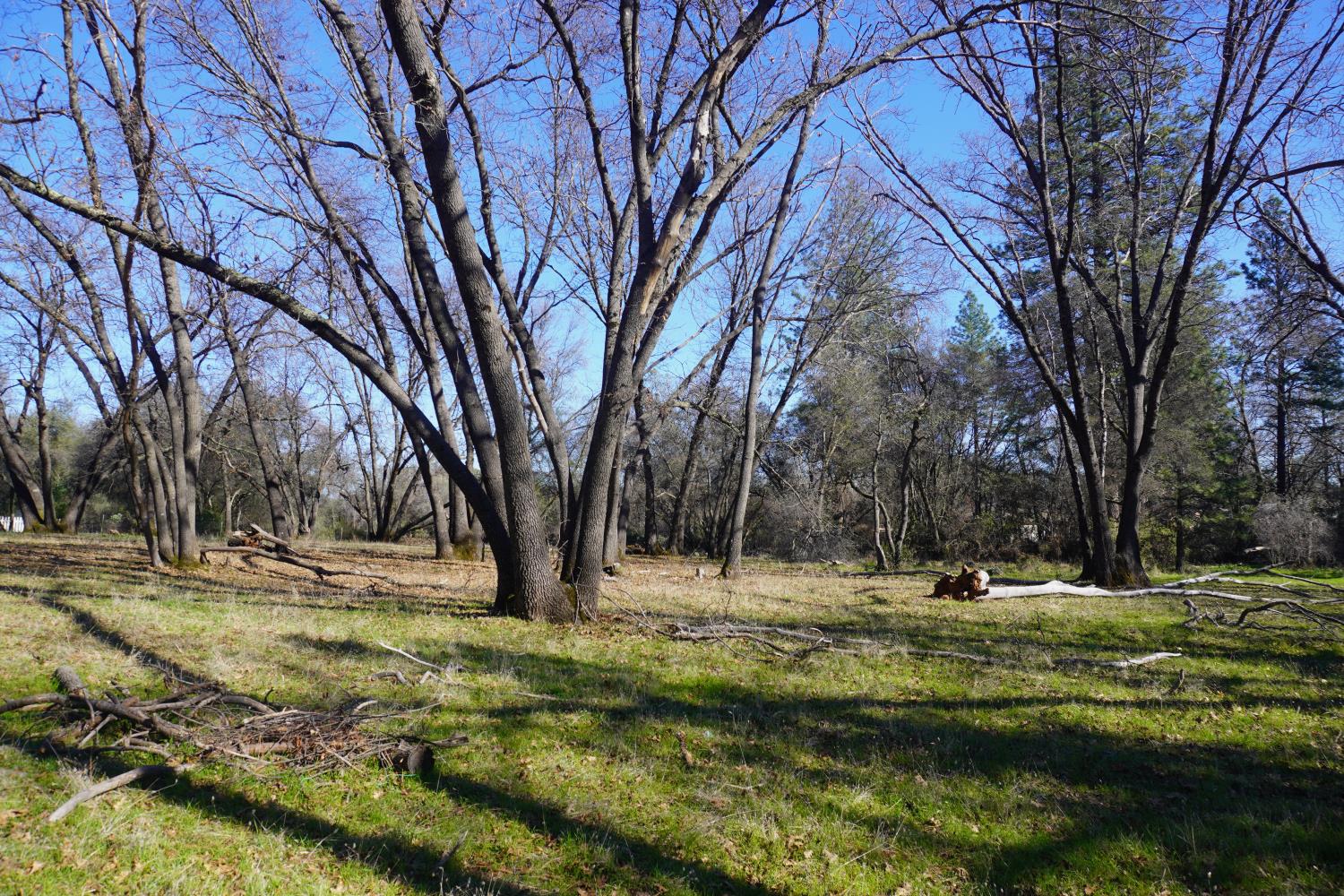 3695 Lily Lane Shingle Springs, CA 95682 - Photo 50 of 56