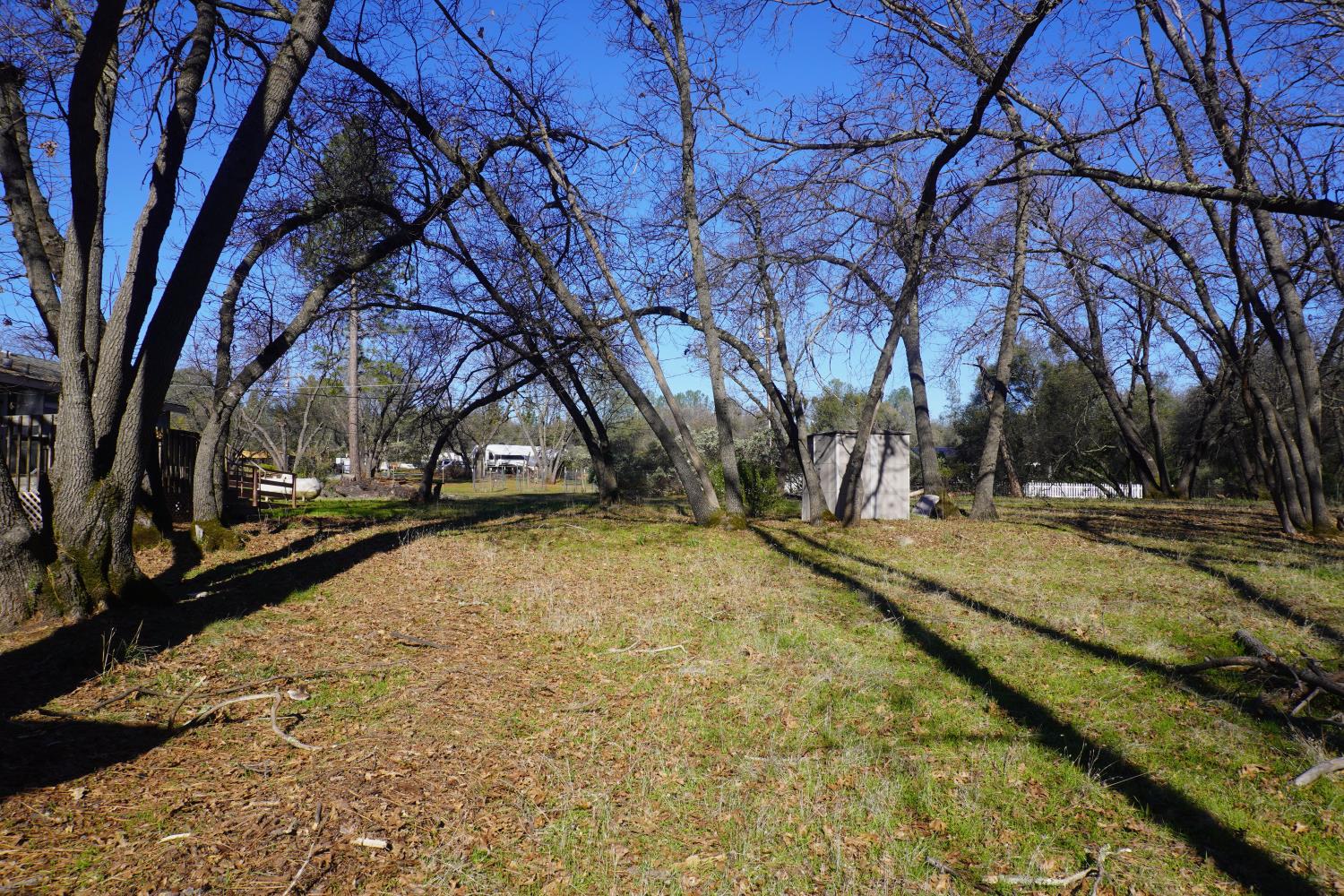 3695 Lily Lane Shingle Springs, CA 95682 - Photo 51 of 56