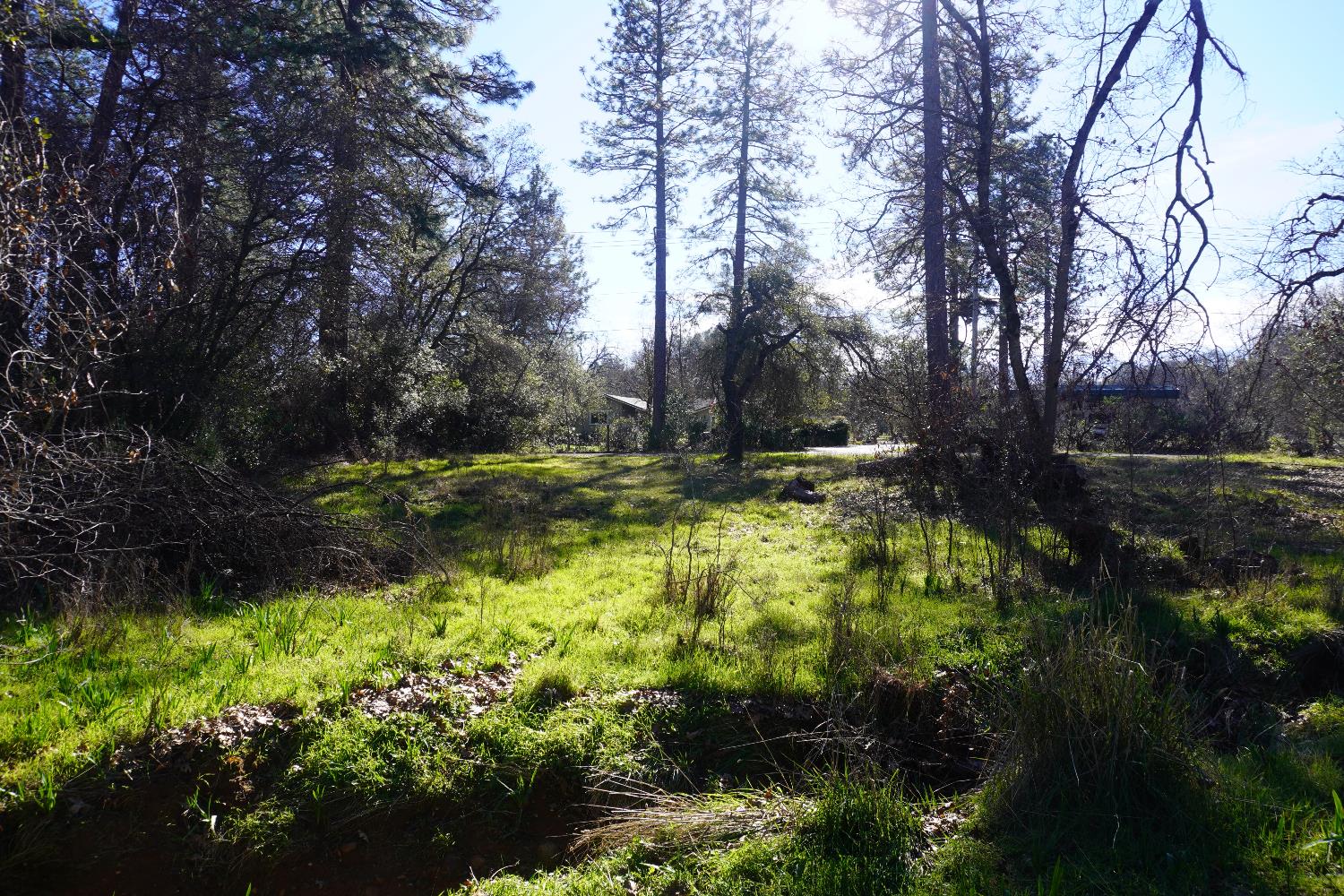 3695 Lily Lane Shingle Springs, CA 95682 - Photo 52 of 56