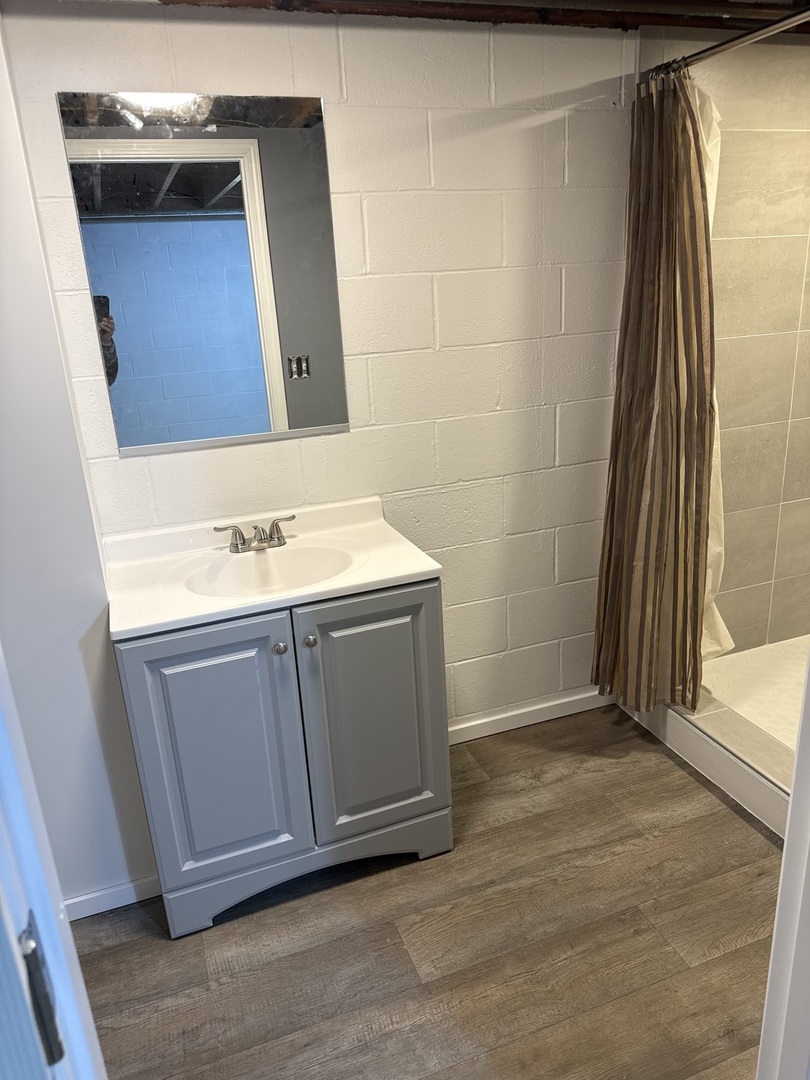 125 West Exchange Street Danvers, IL 61732 - Photo 42 of 66 a bathroom with a sink and a mirror