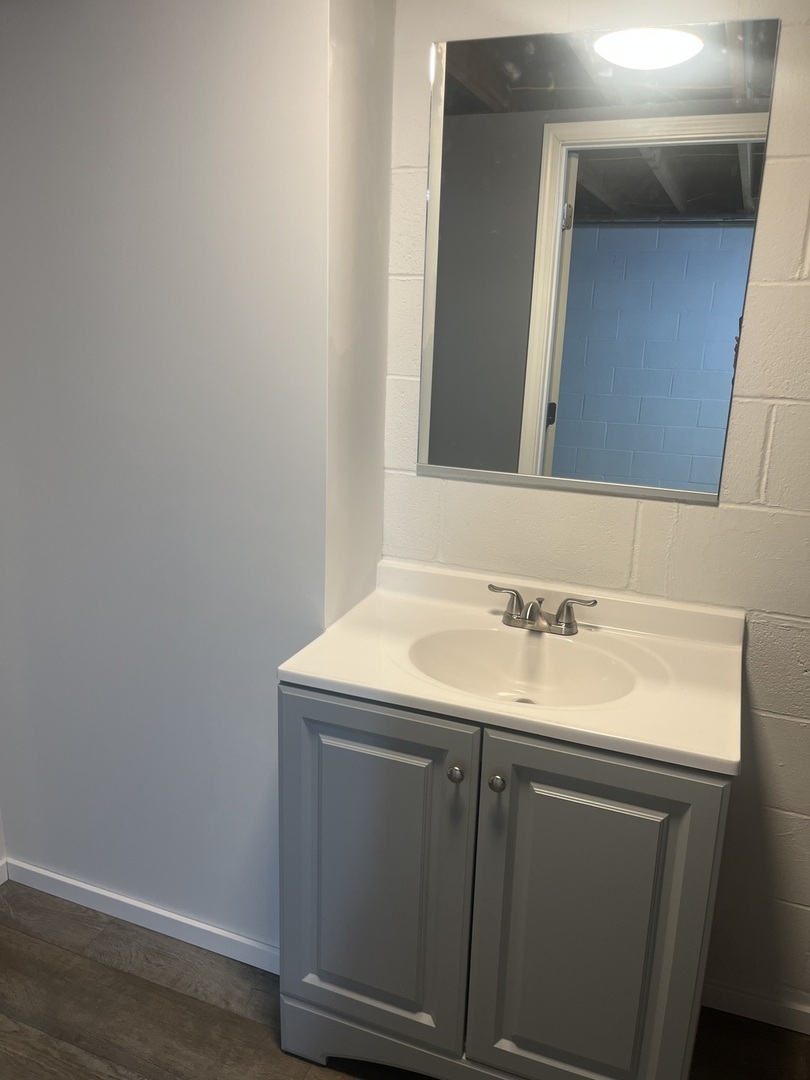 125 West Exchange Street Danvers, IL 61732 - Photo 55 of 66 a bathroom with a sink and a mirror