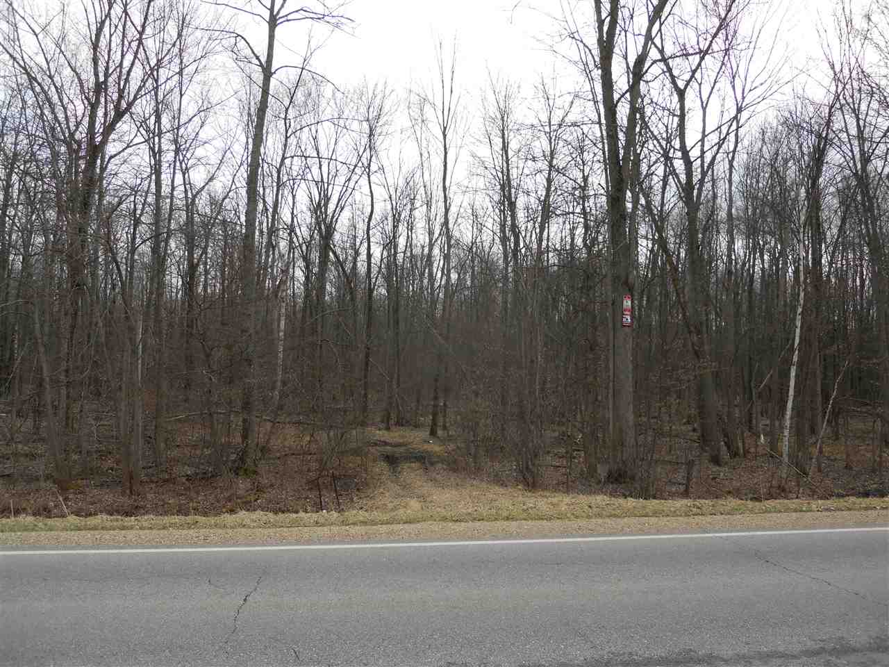 Ormes Road Millington, MI 48746 - Photo 1 of 7