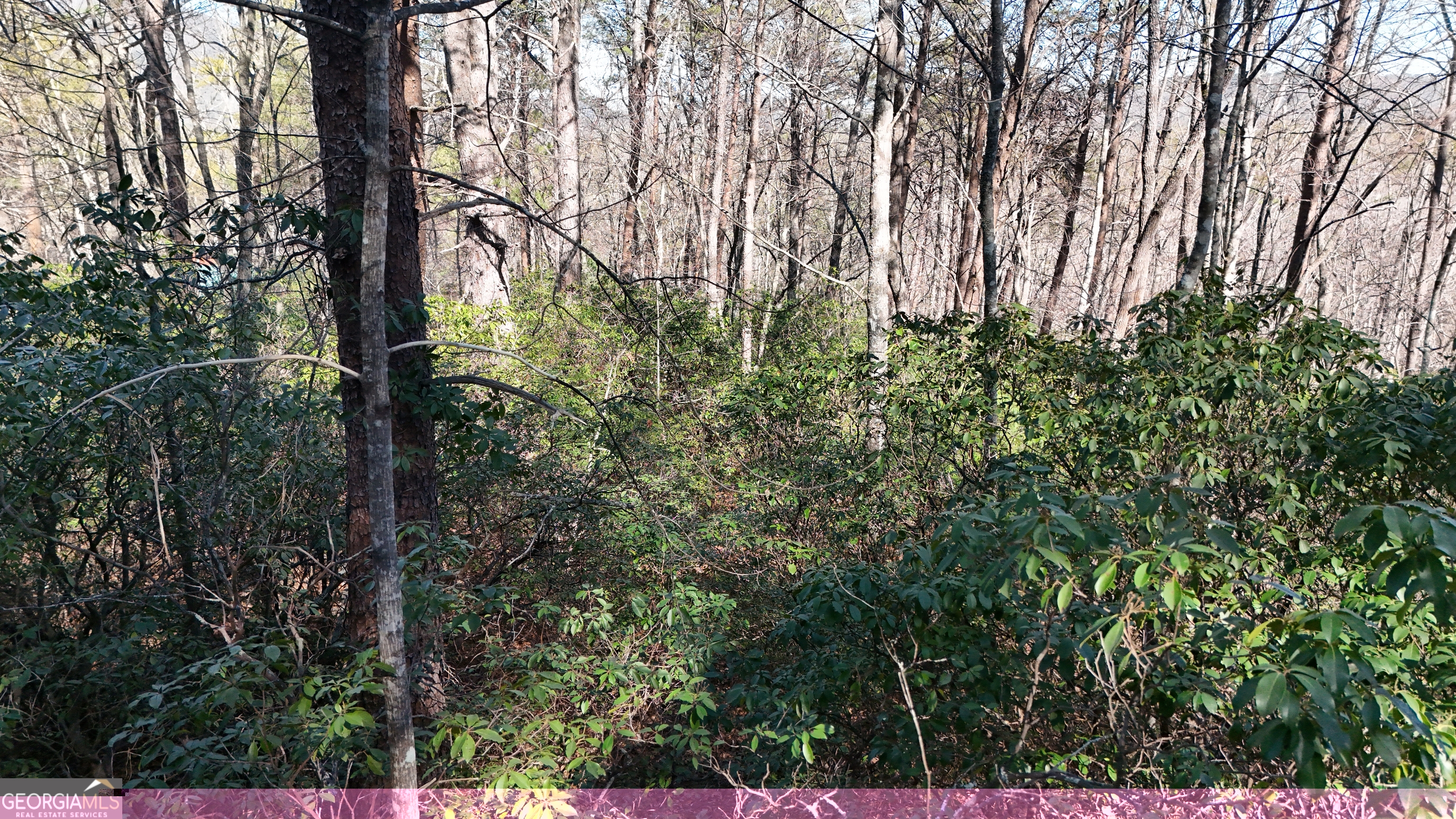 Lot 2 Crumley Creek Road Sautee Nacoochee, GA 30571 - Photo 3 of 5