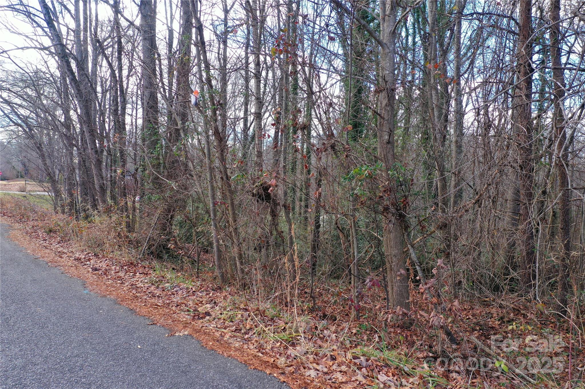 0 Wynyard Avenue Rural Hall, NC 27045 - Photo 17 of 19