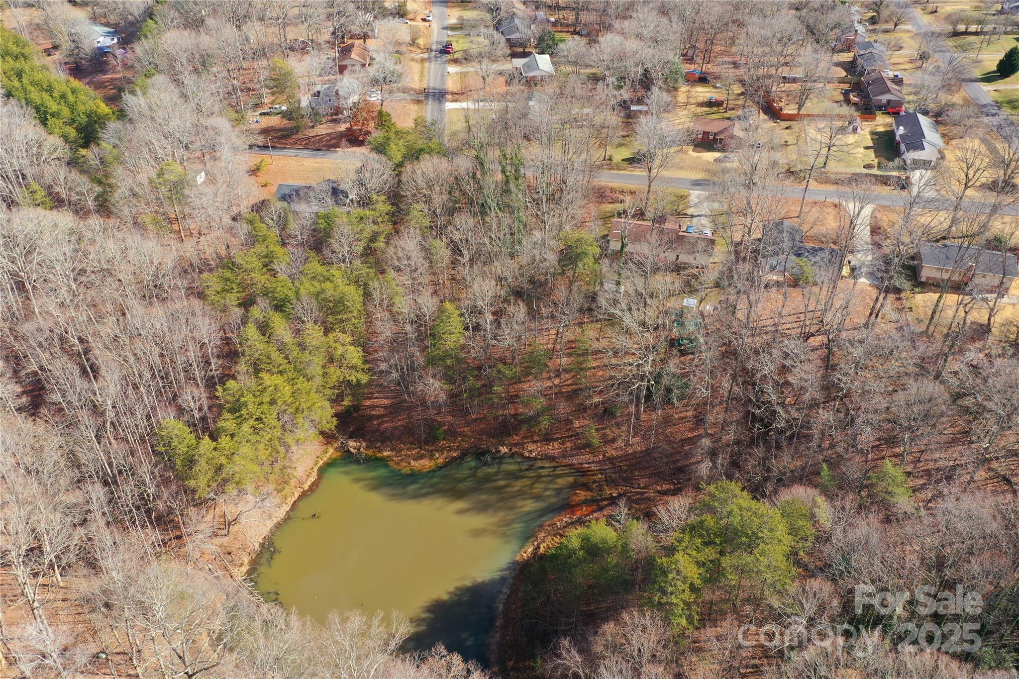 0 Wynyard Avenue Rural Hall, NC 27045 - Photo 7 of 19
