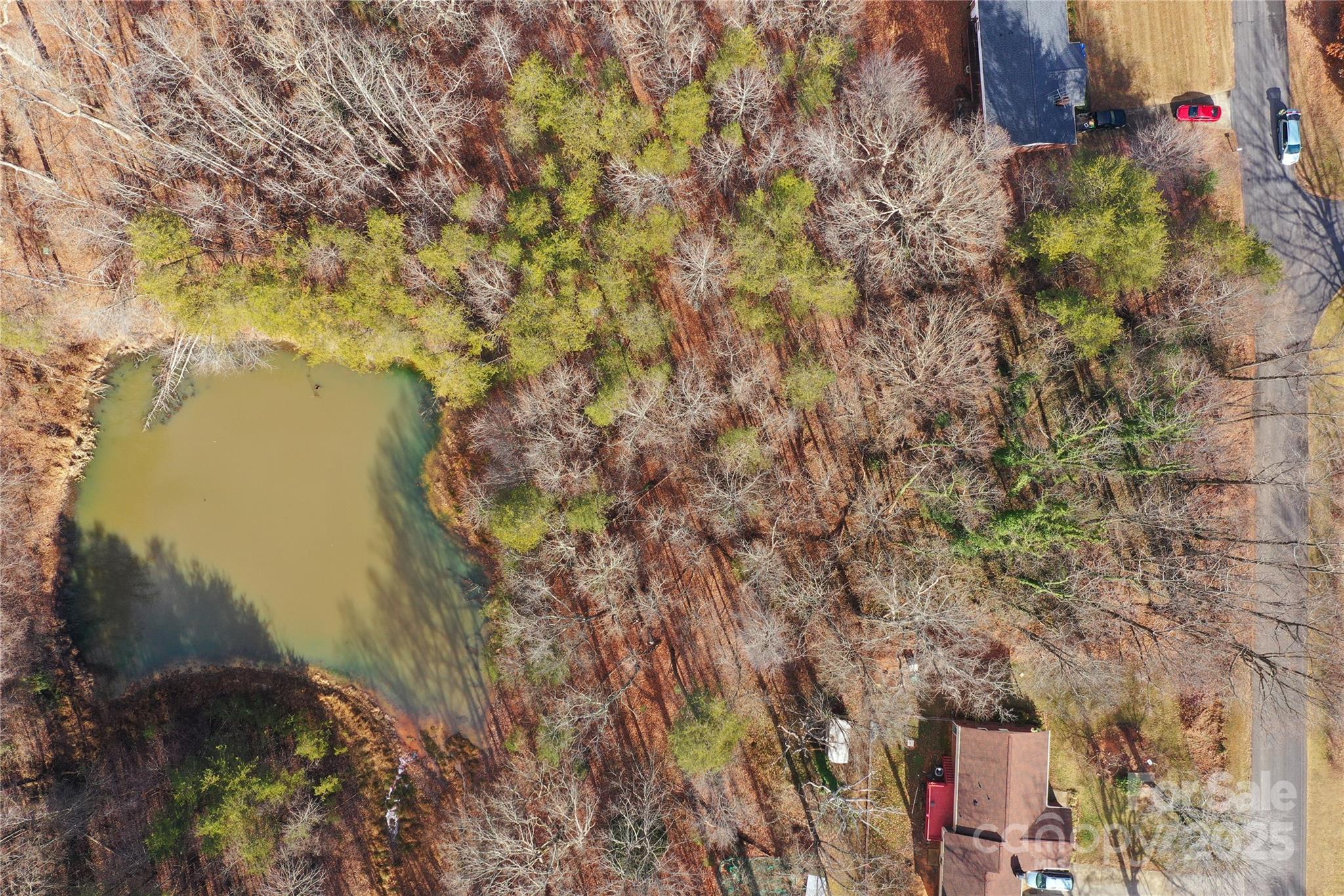 0 Wynyard Avenue Rural Hall, NC 27045 - Photo 10 of 19
