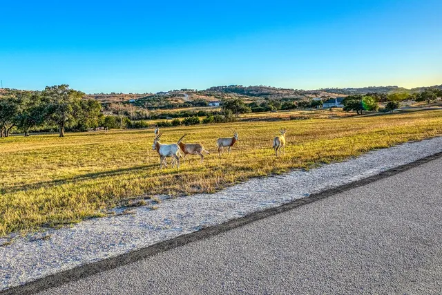 $274,000 | Lot 137 Falling Oak Drive, Unit 137, Blanco, TX 78606