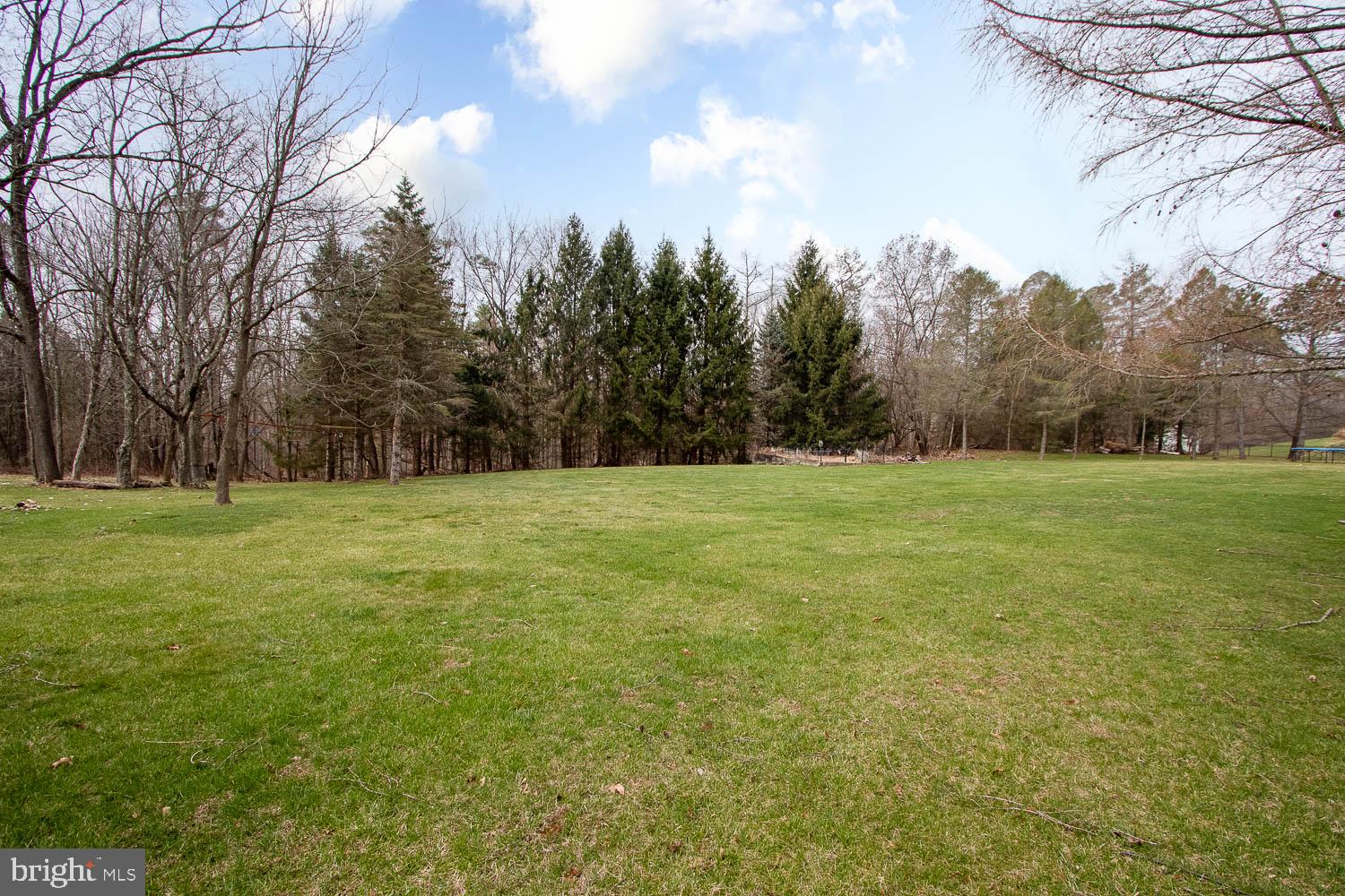 115 Heiskel Drive Port Matilda, PA 16870 - Photo 62 of 66 Expansive green oasis awaits you.