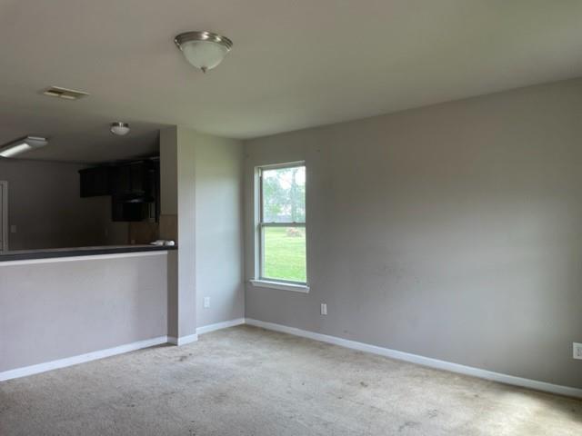 48279 Labonte Lane Tickfaw, LA 70466 - Photo 2 of 10 Gallery Image 2