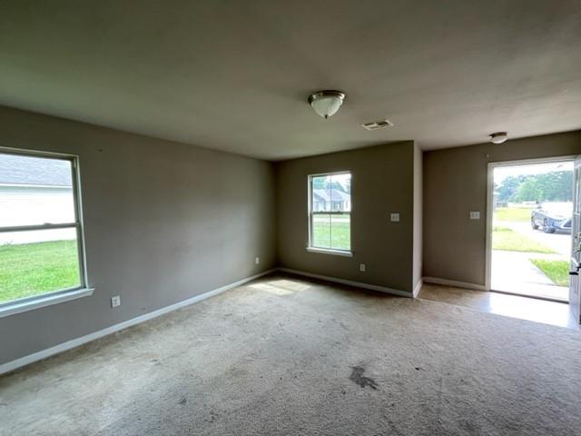 48279 Labonte Lane Tickfaw, LA 70466 - Photo 3 of 10 Gallery Image 3
