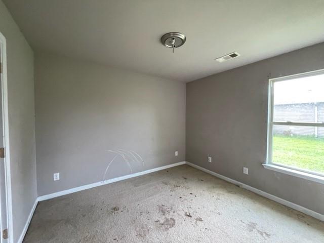 48279 Labonte Lane Tickfaw, LA 70466 - Photo 6 of 10 Gallery Image 6