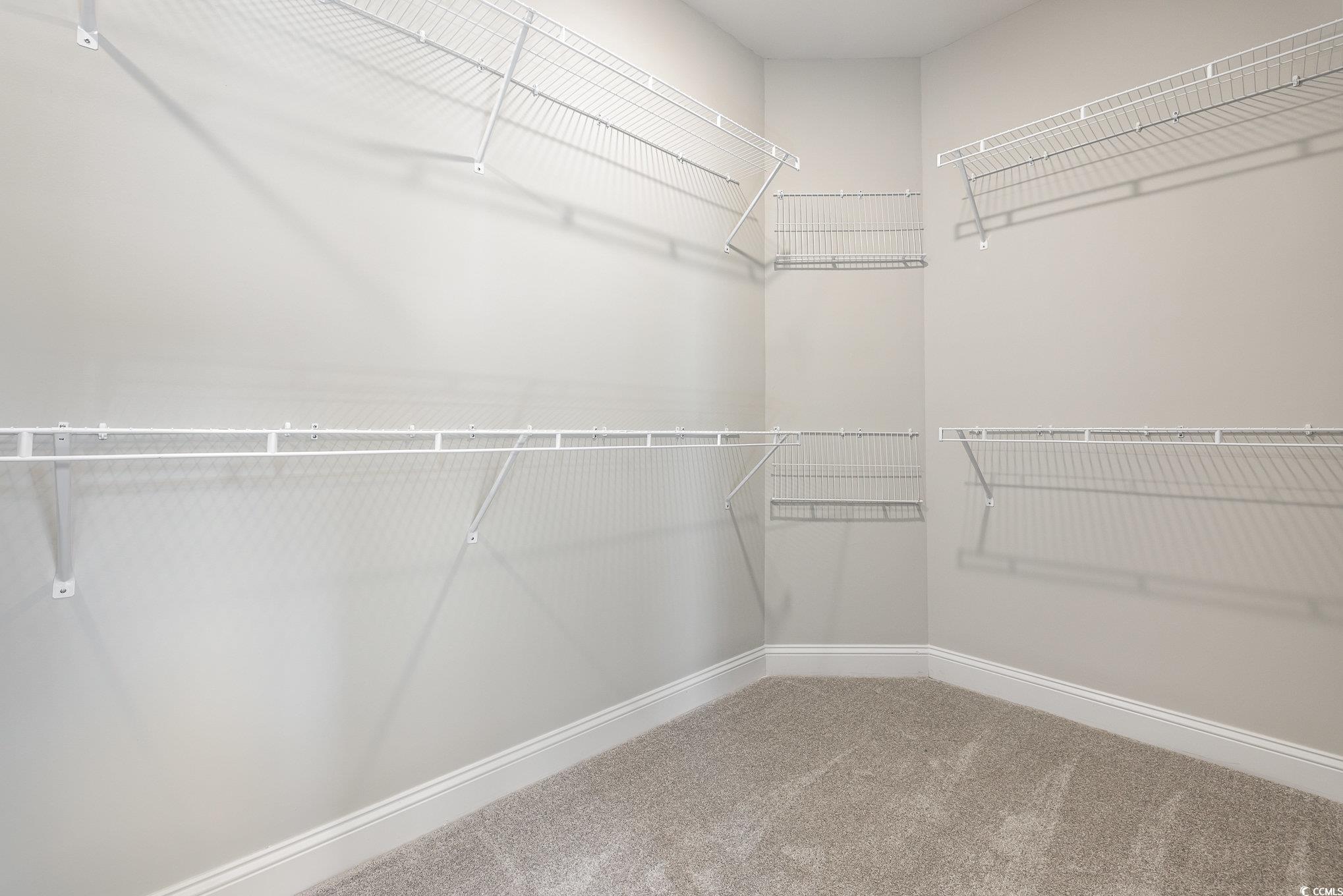 369 Log Cabin Road Loris, SC 29569 - Photo 20 of 30 Spacious closet with carpet