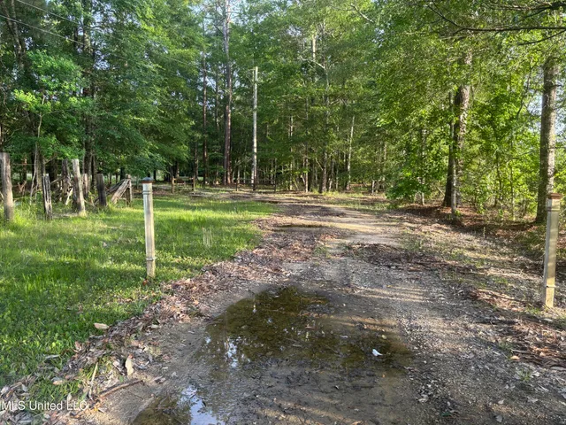 $198,900 | 594 Homer Ladner Road, Poplarville, MS 39470