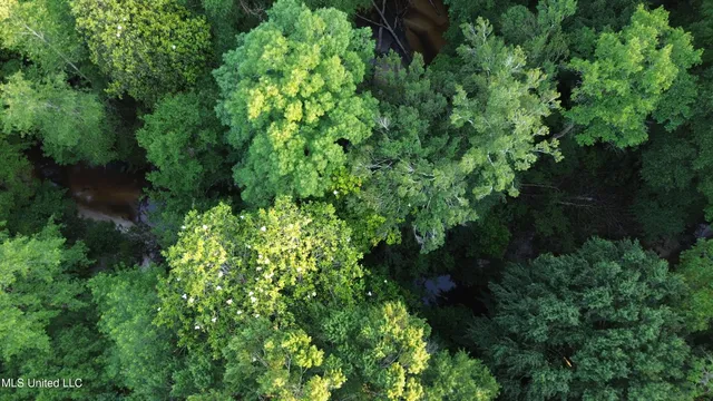 $198,900 | 594 Homer Ladner Road, Poplarville, MS 39470