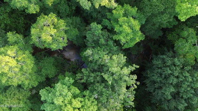 $198,900 | 594 Homer Ladner Road, Poplarville, MS 39470