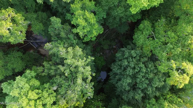 $198,900 | 594 Homer Ladner Road, Poplarville, MS 39470