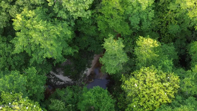 $198,900 | 594 Homer Ladner Road, Poplarville, MS 39470