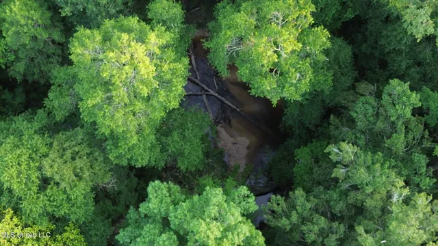 $198,900 | 594 Homer Ladner Road, Poplarville, MS 39470