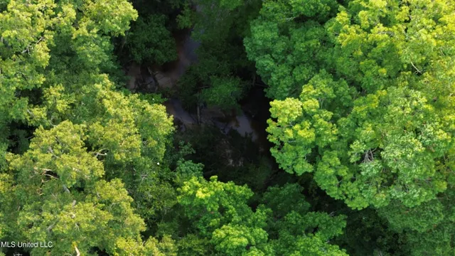 $198,900 | 594 Homer Ladner Road, Poplarville, MS 39470