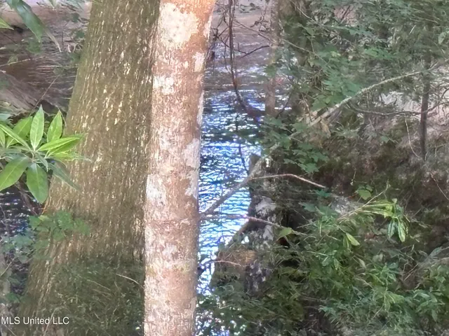 $198,900 | 594 Homer Ladner Road, Poplarville, MS 39470