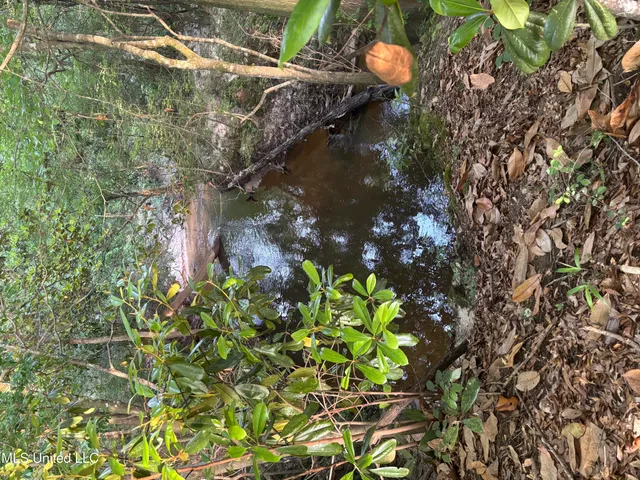 $198,900 | 594 Homer Ladner Road, Poplarville, MS 39470