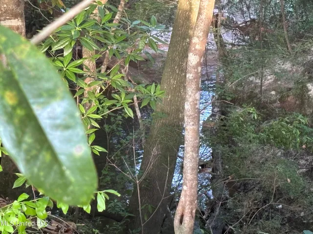 $198,900 | 594 Homer Ladner Road, Poplarville, MS 39470