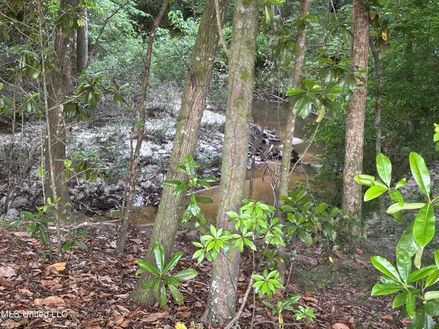 $198,900 | 594 Homer Ladner Road, Poplarville, MS 39470