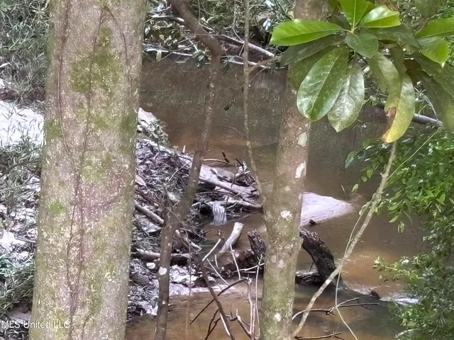 $198,900 | 594 Homer Ladner Road, Poplarville, MS 39470