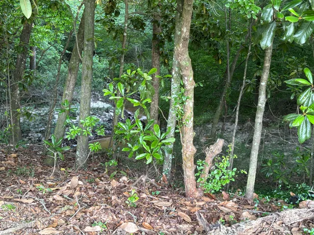 $198,900 | 594 Homer Ladner Road, Poplarville, MS 39470