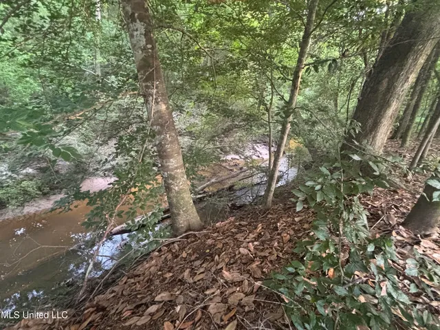 $198,900 | 594 Homer Ladner Road, Poplarville, MS 39470