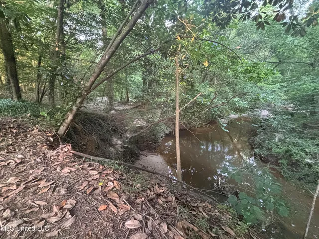 $198,900 | 594 Homer Ladner Road, Poplarville, MS 39470