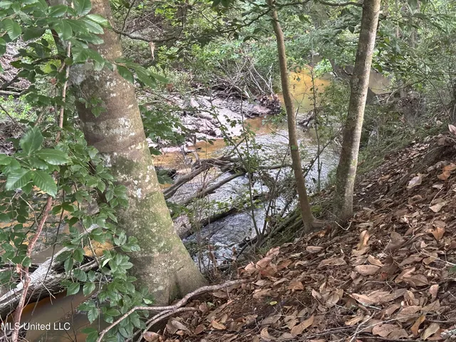 $198,900 | 594 Homer Ladner Road, Poplarville, MS 39470