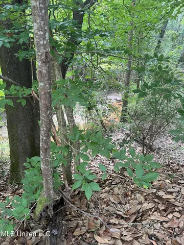 $198,900 | 594 Homer Ladner Road, Poplarville, MS 39470