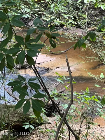 $198,900 | 594 Homer Ladner Road, Poplarville, MS 39470